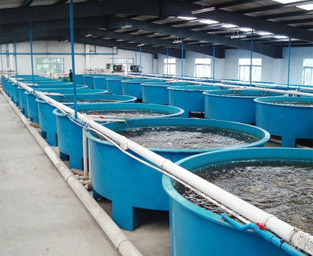 益品德水产养殖